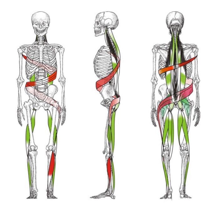 Your Posture Doesn't Lie: The Hidden Story of Your Stored Emotions
