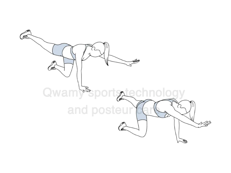 تمرين (بيرد دوغ – Bird Dog)