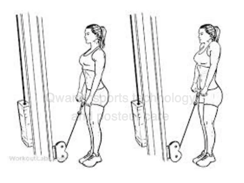 تمرين (هز الكتفين بالكابل – Cable Shrug)