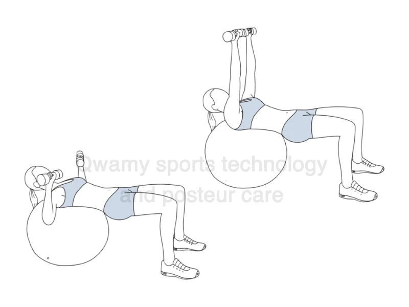 تمرين (ضغط الصدر على كرة الاستقرار – Stability Ball Chest Press)