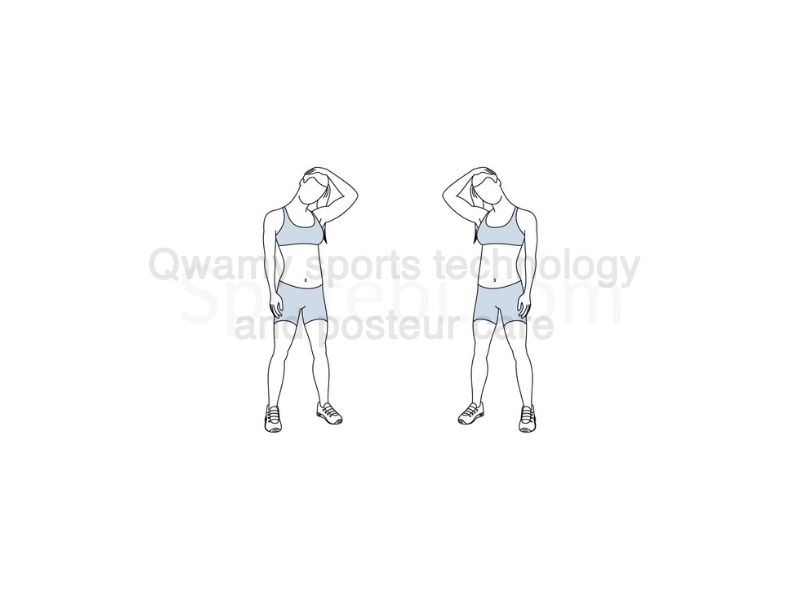 تمرين (تمدد العضلة شبه المنحرفة – Trapezius Stretch)