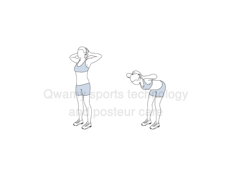 تمرين (Good Mornings)