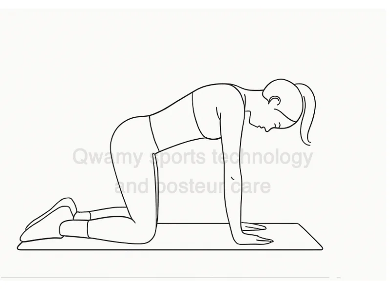 تمرين (تمدد القطة والبقرة – Cat Cow Stretch)