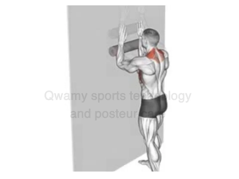 Exercise (Serratus Wall Slide With Foam Roller)